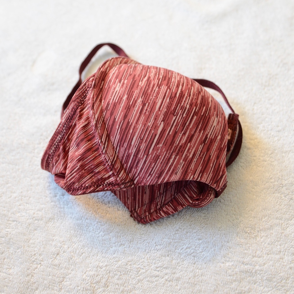 Aerie Bridget Pushup Bra